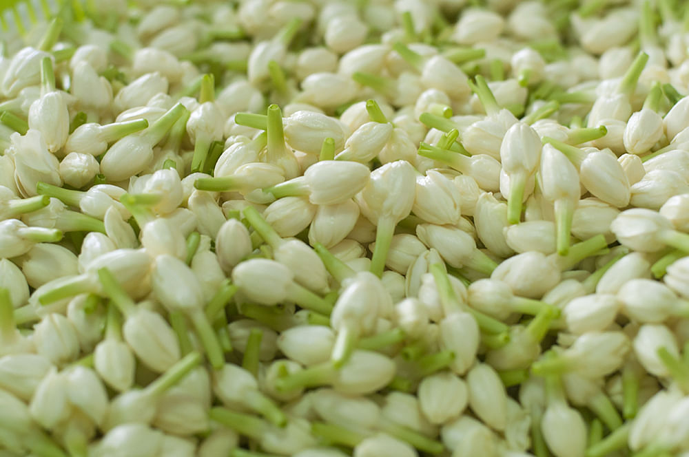 கனவு - 2 - ராமநாதபுரம் - வளமும் வாய்ப்பும்