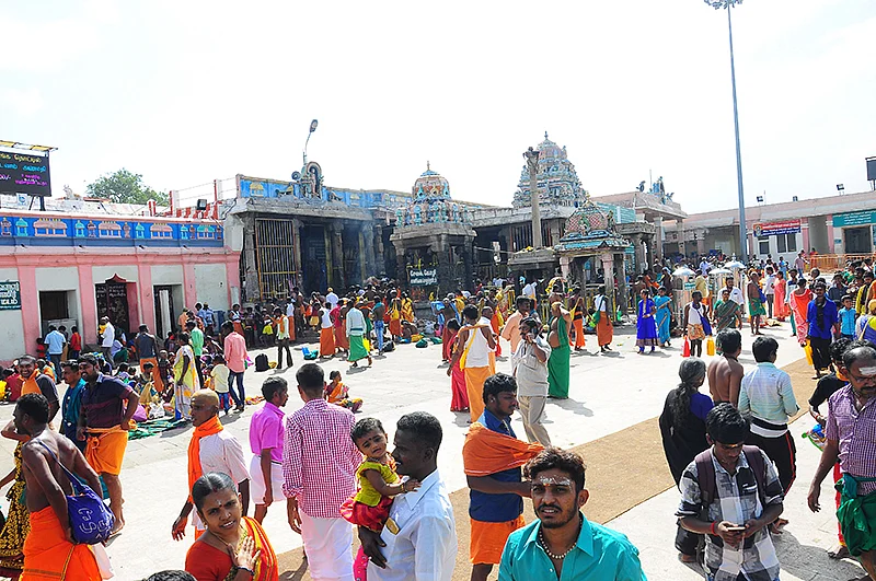 மங்கலம் அருளும்
ராஜ அலங்காரம்!