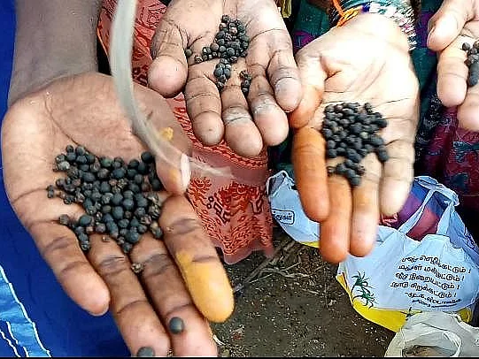 பொங்கல் பொருள்களில் கலப்படம்; அதிர்வை ஏற்படுத்திய விகடன் காணொலி! - அலுவலர் அதிரடி சஸ்பெண்ட்