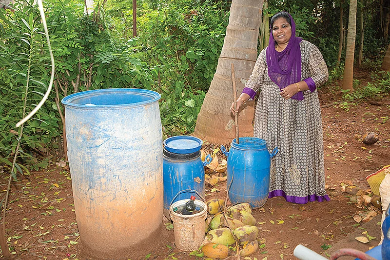 இயற்கை இடுபொருள்களுடன்
