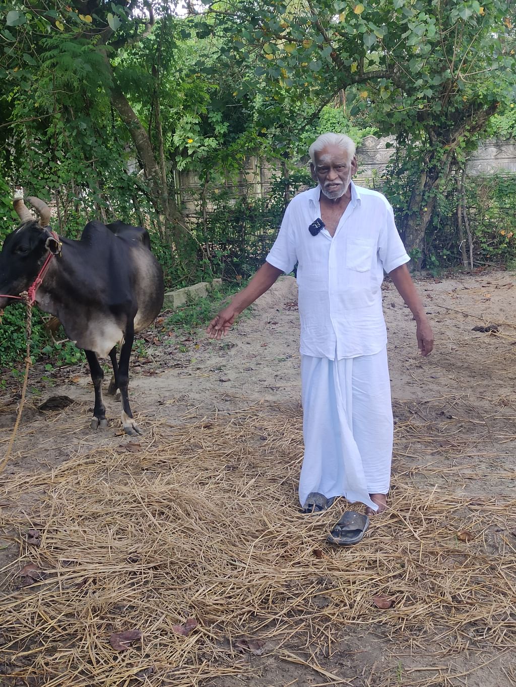 வீரையன்