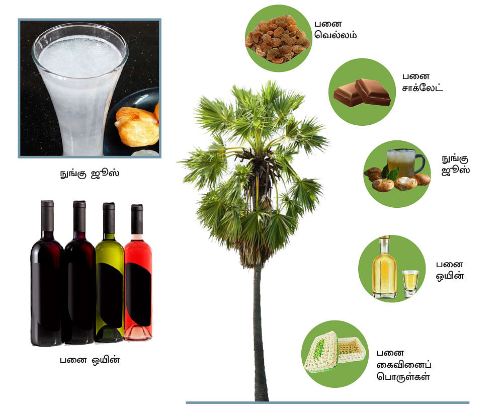 கனவு - 1 - முதலில் ராமநாதபுரம் - வளமும் வாய்ப்பும் - புதிய தொடர்