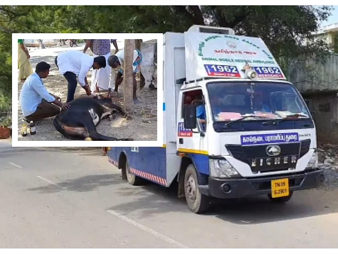 விபத்தில் சிக்கி காயமடைந்த மாடு; ஊரடங்கு நாளிலும் விரைந்து வந்து சிகிச்சையளித்த கால்நடை ஆம்புலன்ஸ்!