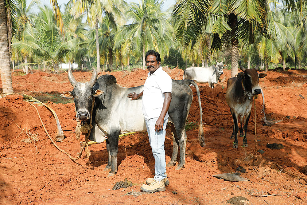 ஜீவானந்தம்