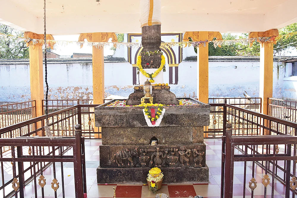 பவனி வரும் பட்டத்துக் காளை... கம்பளியின் மகிமை! - கம்பம் நந்தகோபாலன் தரிசனம்!