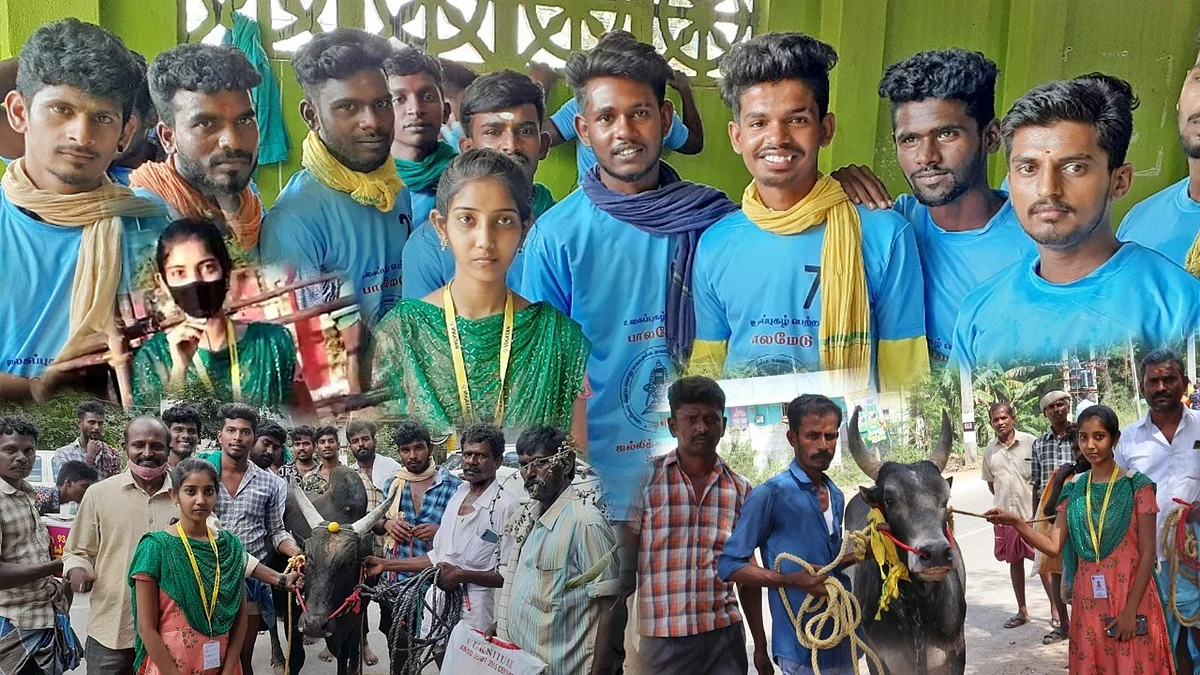 ஜல்லிக்கட்டு: `பாப்பா என்ன பண்ணீட்டு இருக்க?’ -அவனியாபுரம் டு அலங்காநல்லூர் கள அனுபவம் பகிரும் மாணவி