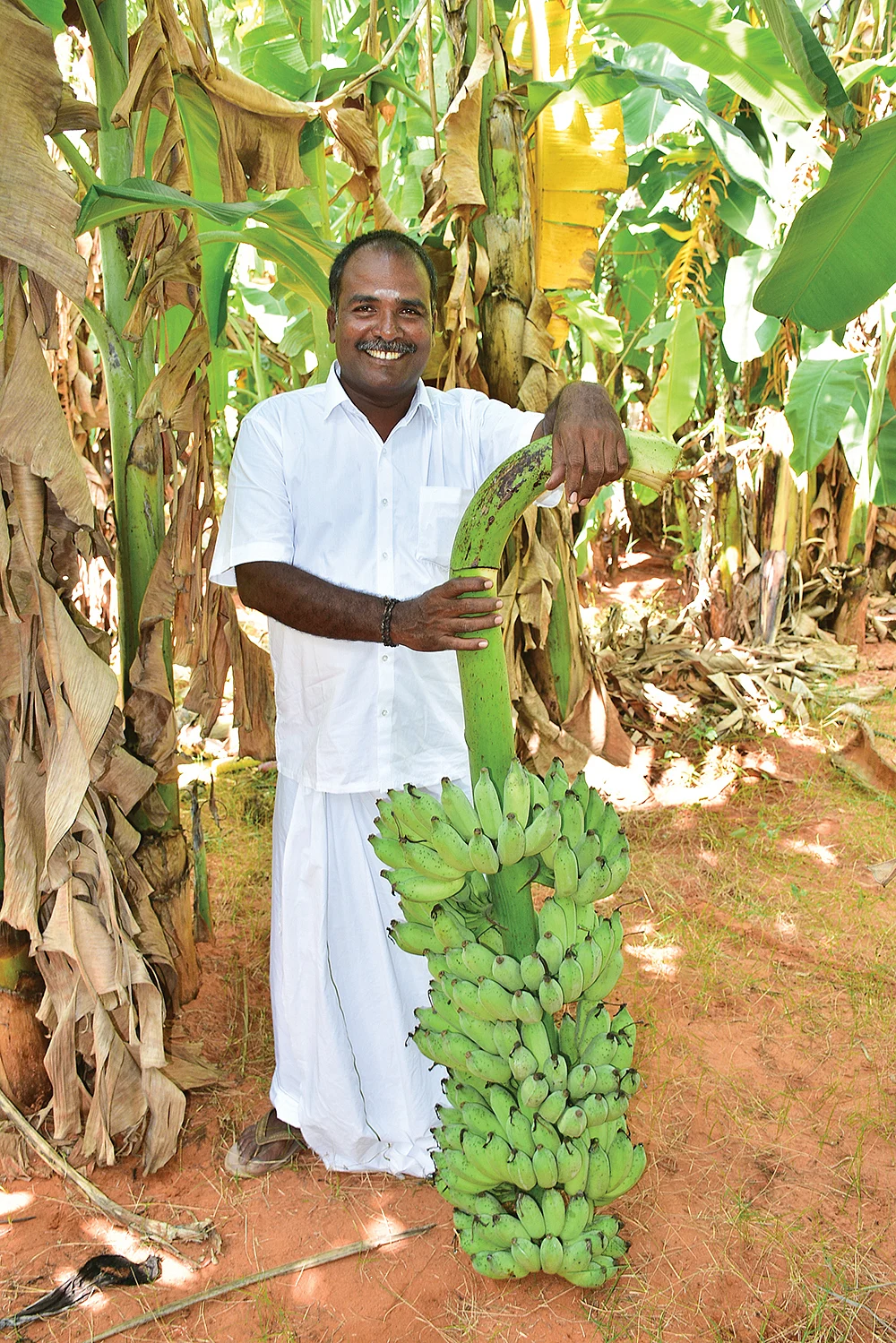வாழைத்தாருடன் தனபால்
