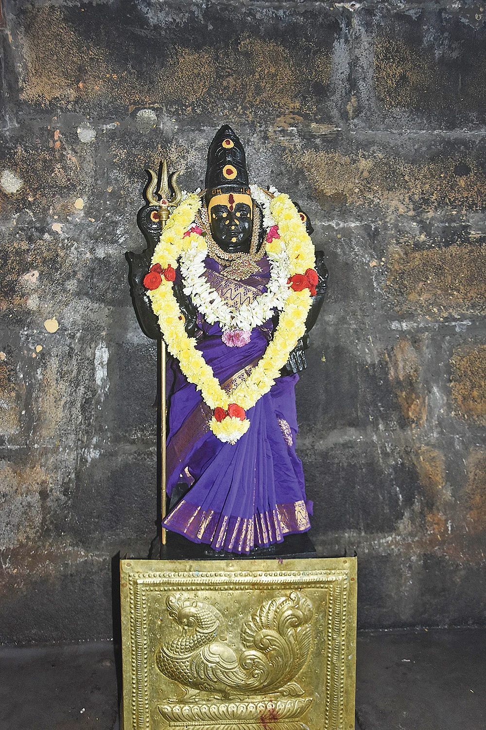 ஶ்ரீஅறம் வளர்த்தநாயகி
(ஆதி அம்பாள்)