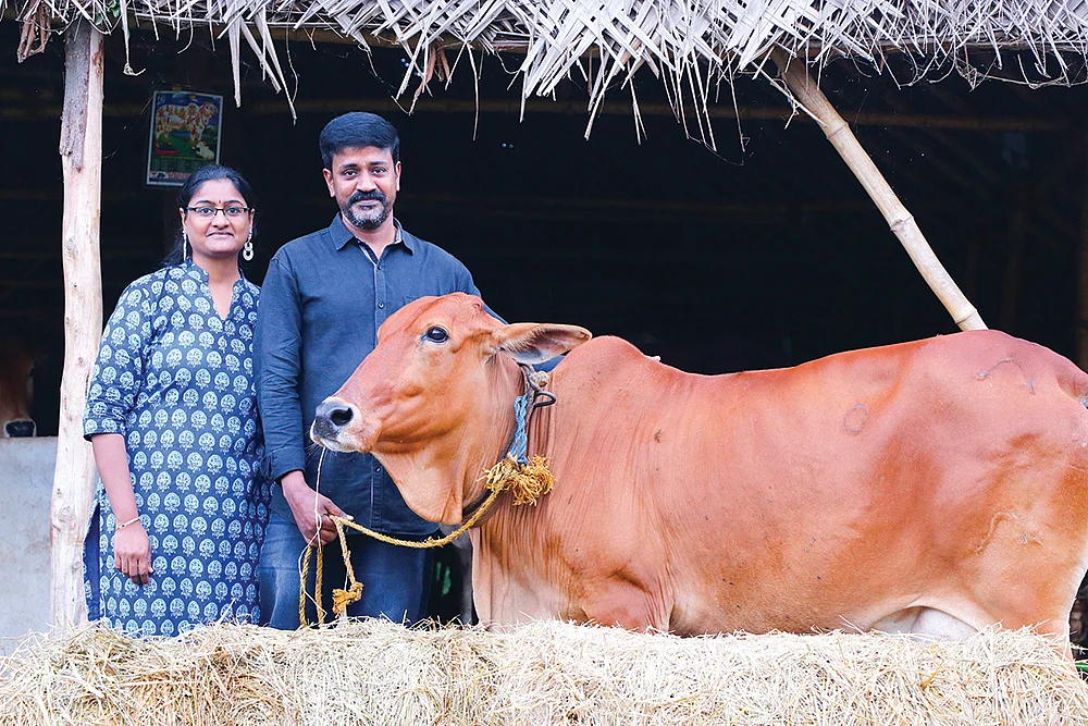 நாட்டு மாடுகளைக் காக்க நகரத்தில் ஒரு பண்ணை!