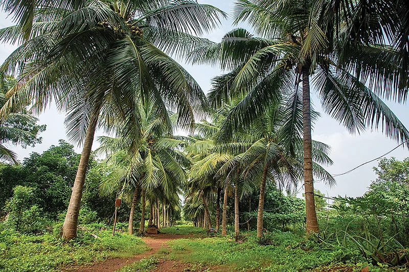 எழில் கொஞ்சும் ஒருங்கிணைந்த பண்ணை