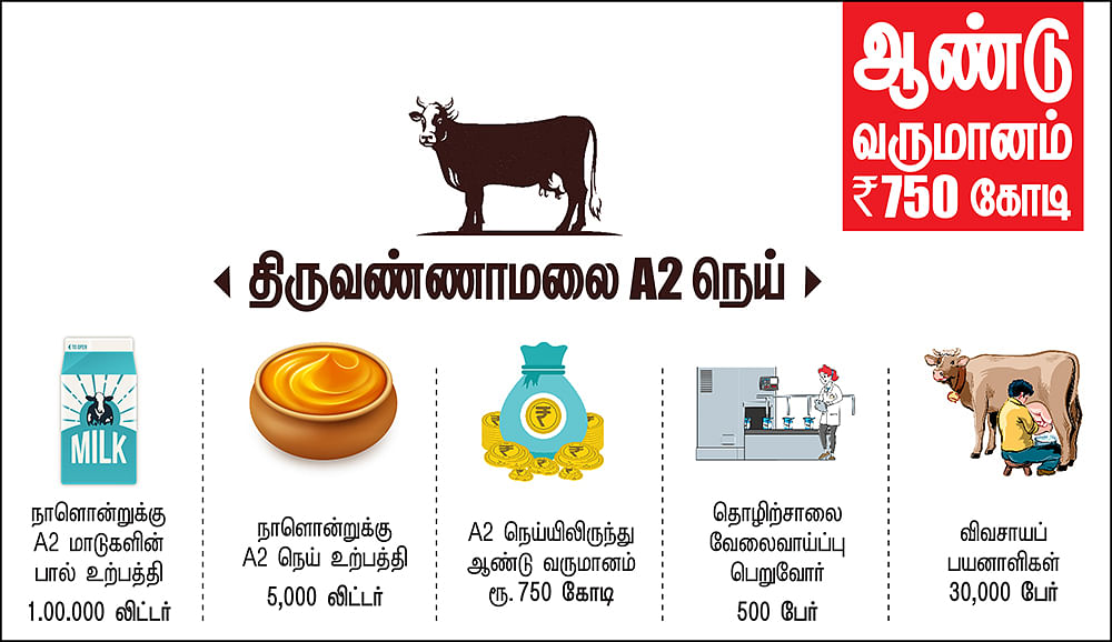 கனவு - 5 - திருவண்ணாமலை - வளமும் வாய்ப்பும்