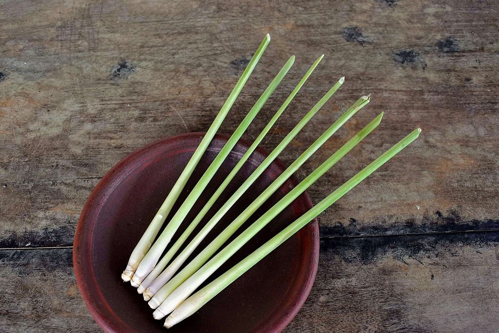 Lemongrass (Representational Image)