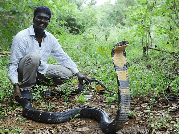 பிரார்த்தனைகள் சரிதான்; ஆனால், `பாம்பு பிடி மன்னன்' வாவா சுரேஷ் செய்த தவறு என்ன தெரியுமா?
