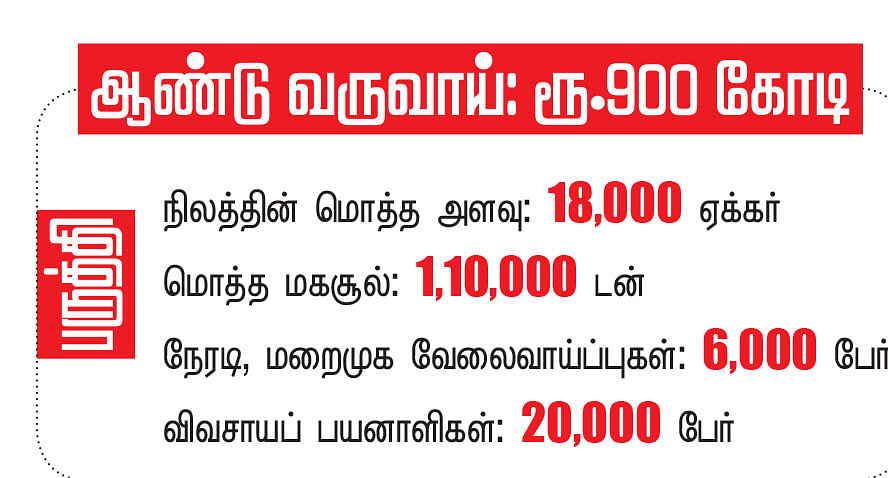 கனவு - 12 - கடலூர் - வளமும் வாய்ப்பும்