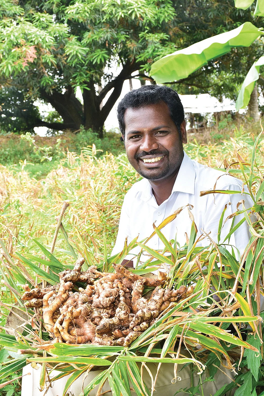 அறுவடையான இஞ்சியுடன் பால்ராஜ்