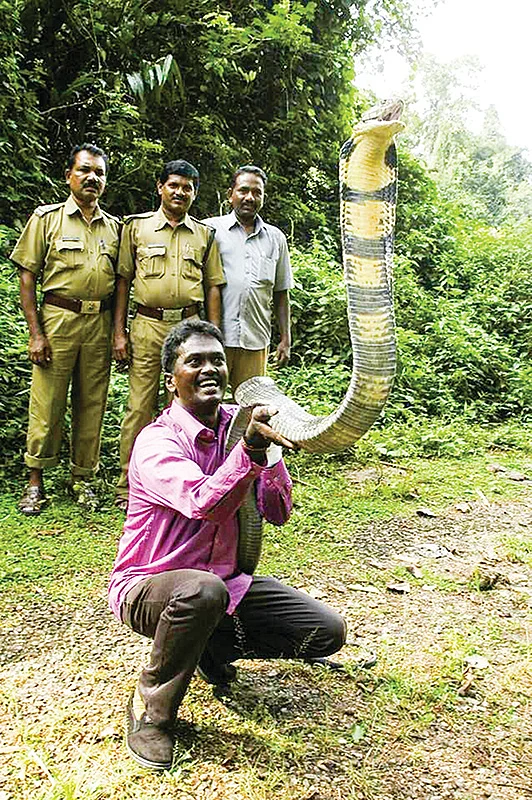 “என்னை 400 முறை பாம்பு கடித்திருக்கிறது!”