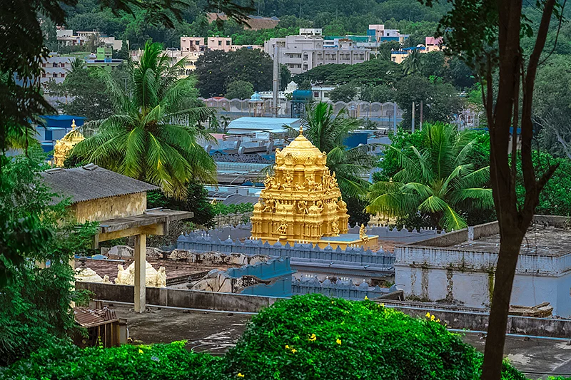 திருமலை திருப்பதி!