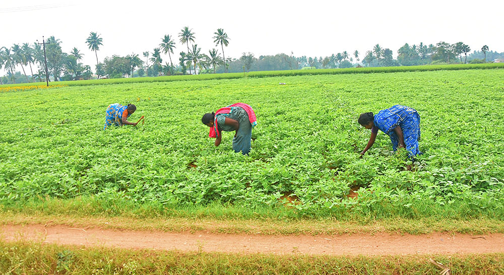 கனவு - 6 - திருவண்ணாமலை - வளமும் வாய்ப்பும்
