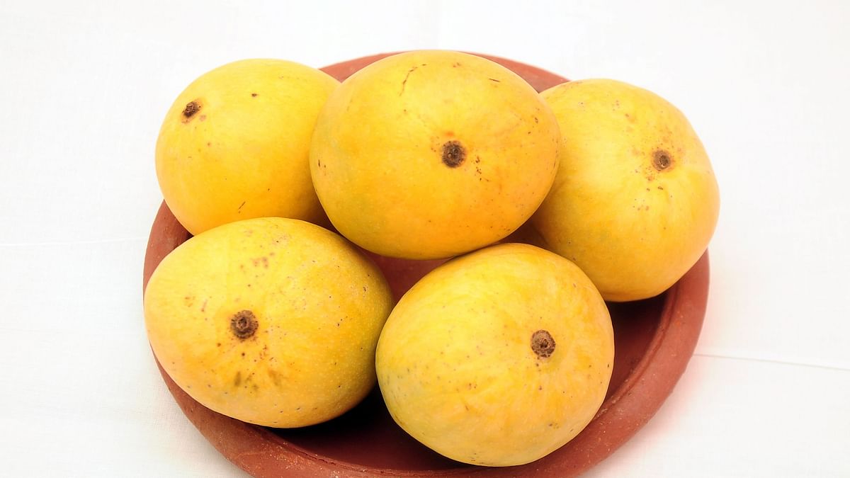 Mango (Representational Image)