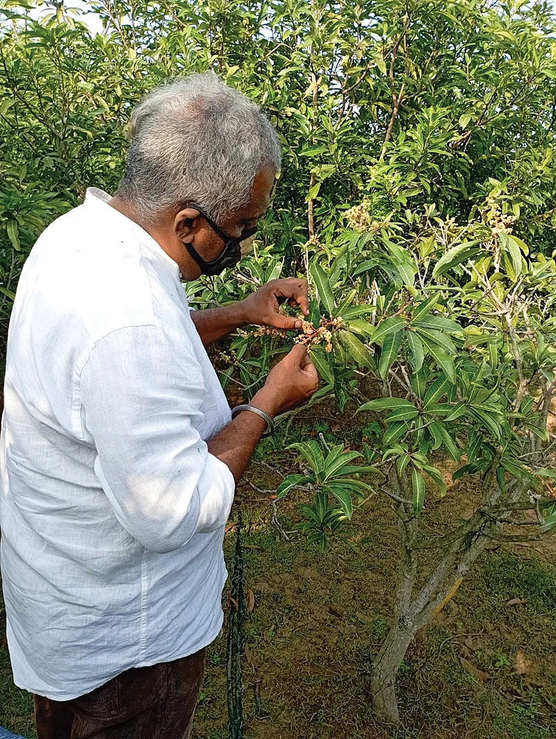 பிரபுராம்