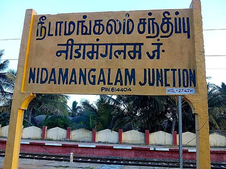 செப்.25-ம் தேதி நீடாமங்கலத்தில் பனைத் திருவிழா: விழாவின் சிறப்பம்சங்கள் இதுதான்!