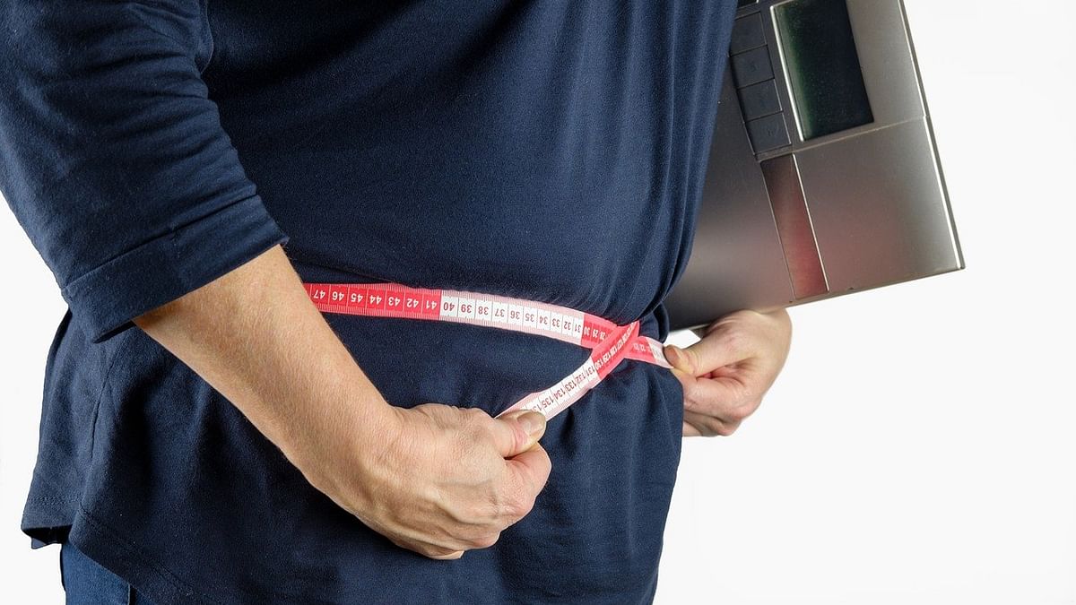 Belly fat (Representational Image)