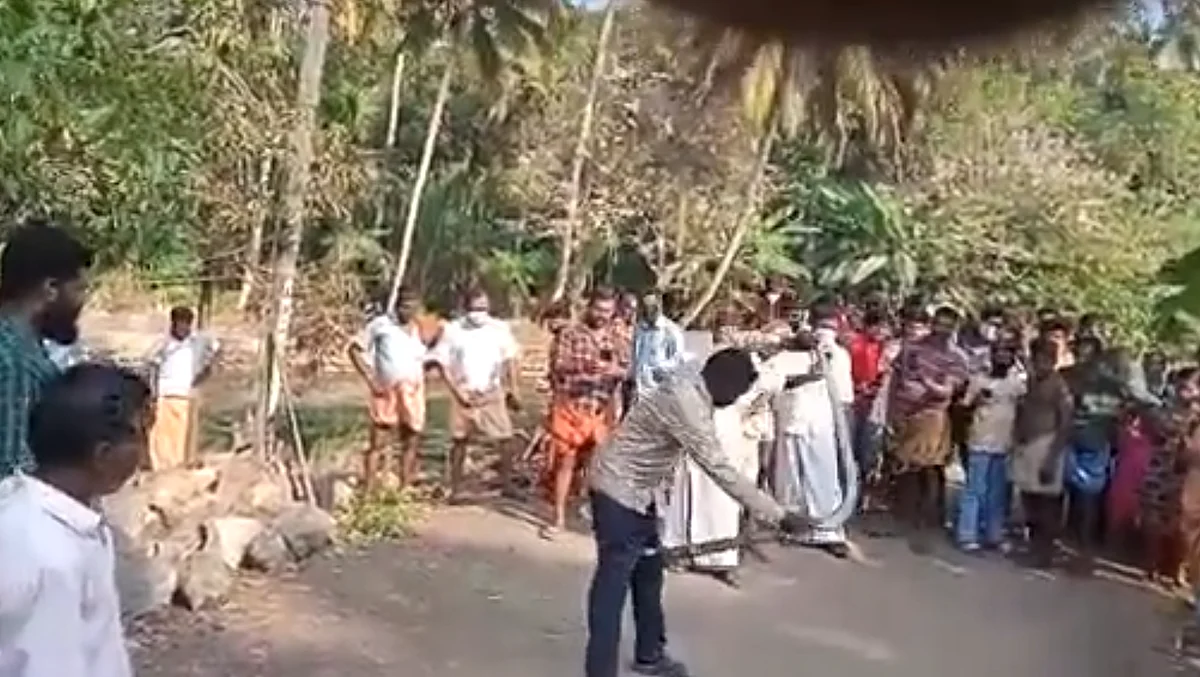 தொடையில் கடித்த பாம்பு