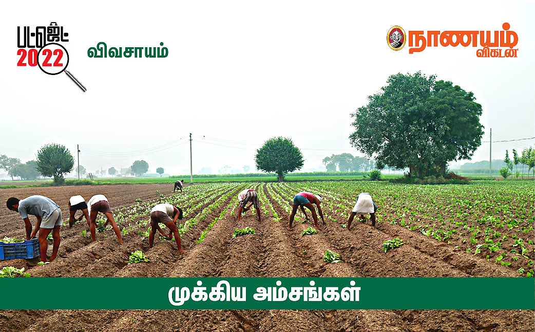 மத்திய பட்ஜெட் 2022 முக்கிய அம்சங்கள்; `இனி பிட்காயின் முதலீட்டுக்கு 30% வரி!'