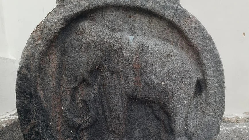 நீலகண்டரையன் யானை