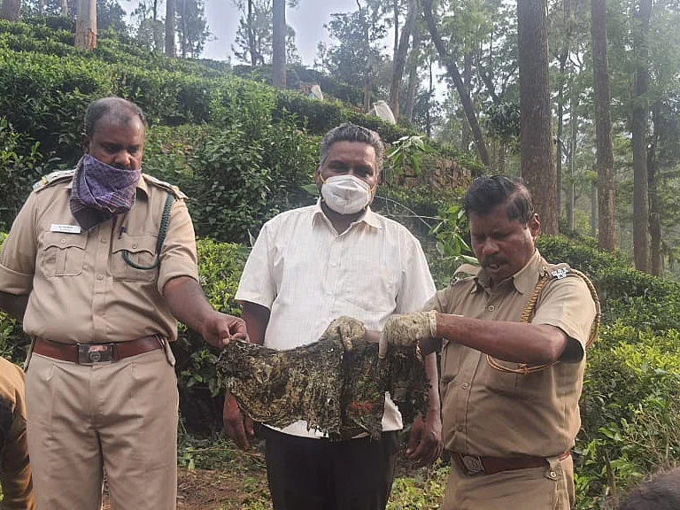 வயிற்றில் நூடுல்ஸ் பாக்கெட்; குடல் அழுகி பரிதாபமாக உயிரிழந்த காட்டுமாடு!