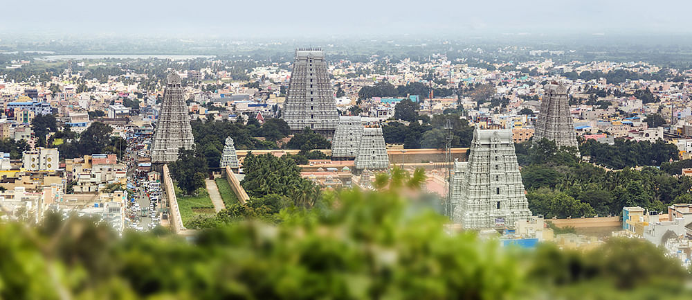 கனவு - 8 -திருவண்ணாமலை - வளமும் வாய்ப்பும்