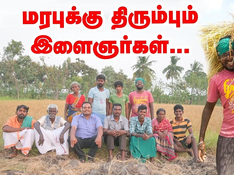 `அடி காட்டுக்கு, நடு மாட்டுக்கு, நுனி வீட்டுக்கு!' - கையால் நெல் அடிப்பதில் இவ்வளவு நன்மைகளா?