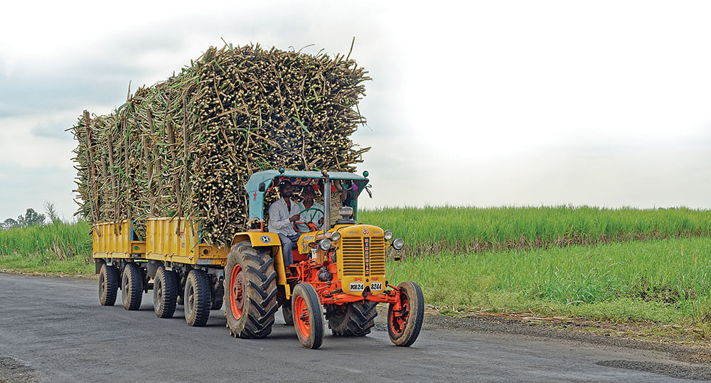 கனவு - 10 - கடலூர் - வளமும் வாய்ப்பும்