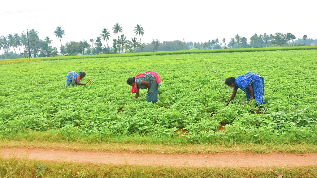 திருவண்ணாமலை - வளமும் வாய்ப்பும்