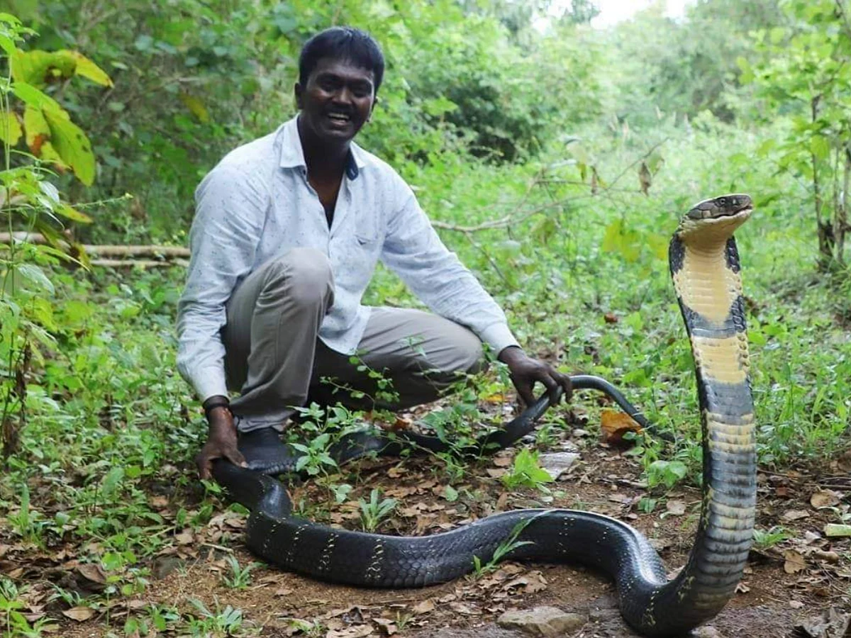 ``நான் சுரேஷ்... வாவா சுரேஷ்” - மருத்துவர்களிடம் தெளிவாகப் பேசிய பாம்பு பிடி மன்னன்!