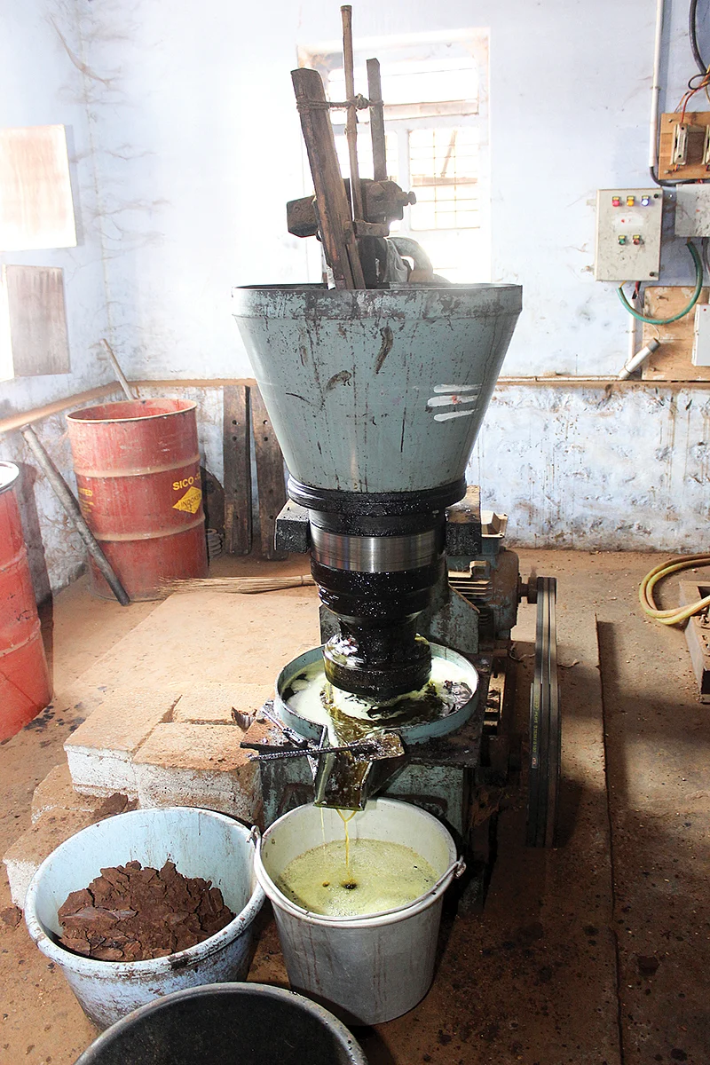 எண்ணெய் பிழியும் செக்கு