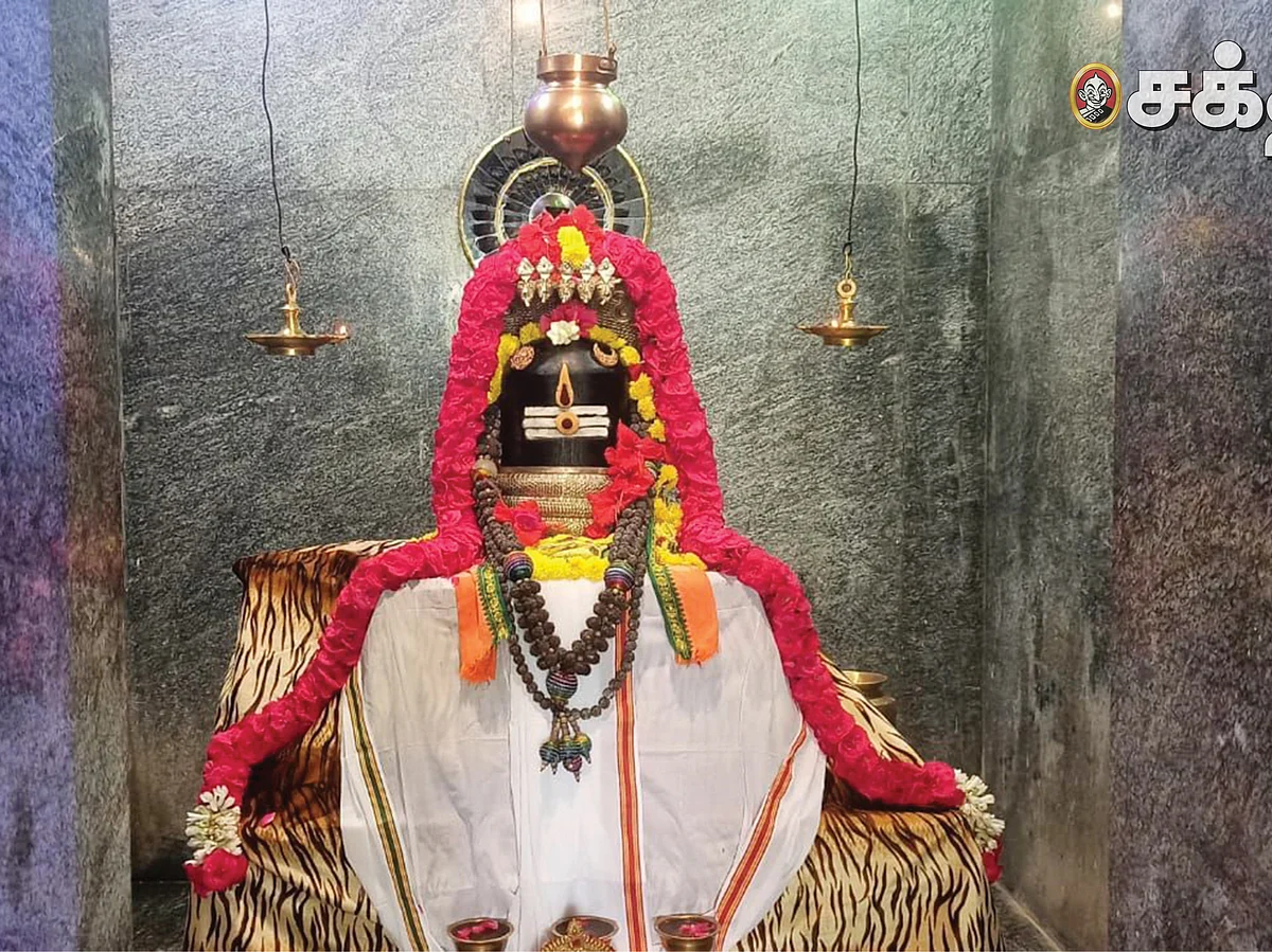 புண்ணிய சிவராத்திரியில் மகா மிருத்யஞ்ச ஹோமம்!