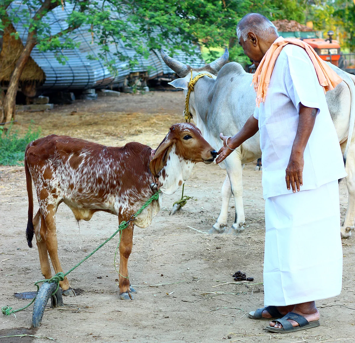 மருத்துவர் நடராஜன்