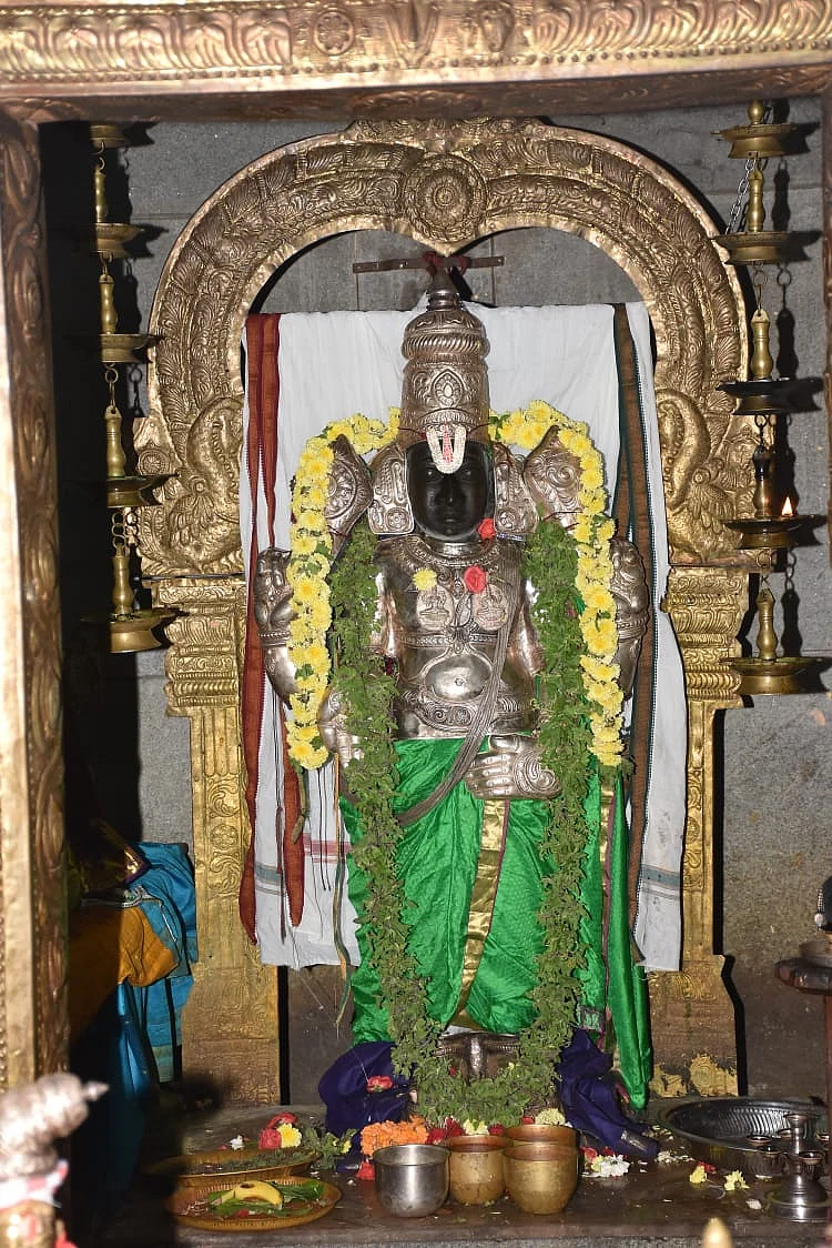 நல்லியக்கோடன் நகர் அலமேலுமங்கை சமேத ஸ்ரீனிவாசப் பெருமாள்
