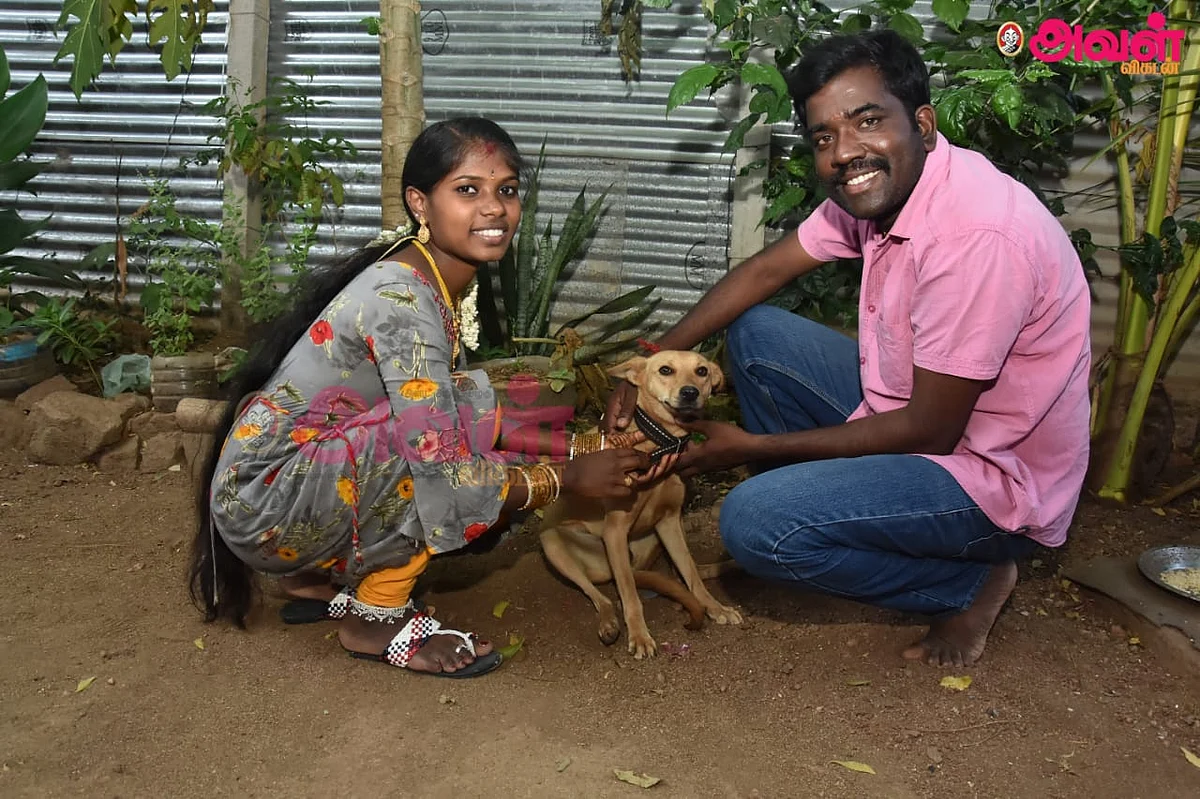 செளமியா-