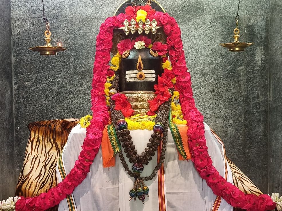 ஆயுள் விருத்தி, ரோக நிவாரணம் அளிக்கும் மகாசிவராத்திரி மிருத்யஞ்சய மகாஹோமம் - நீங்களும் பங்கேற்கலாம்!