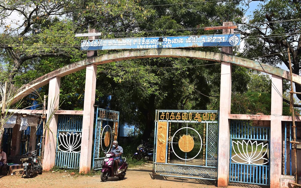 இந்த ஆண்டாவது அரவை நடக்குமா? ஆலையை எதிர்பார்த்து காத்திருக்கும் கரும்பு விவசாயிகள் 