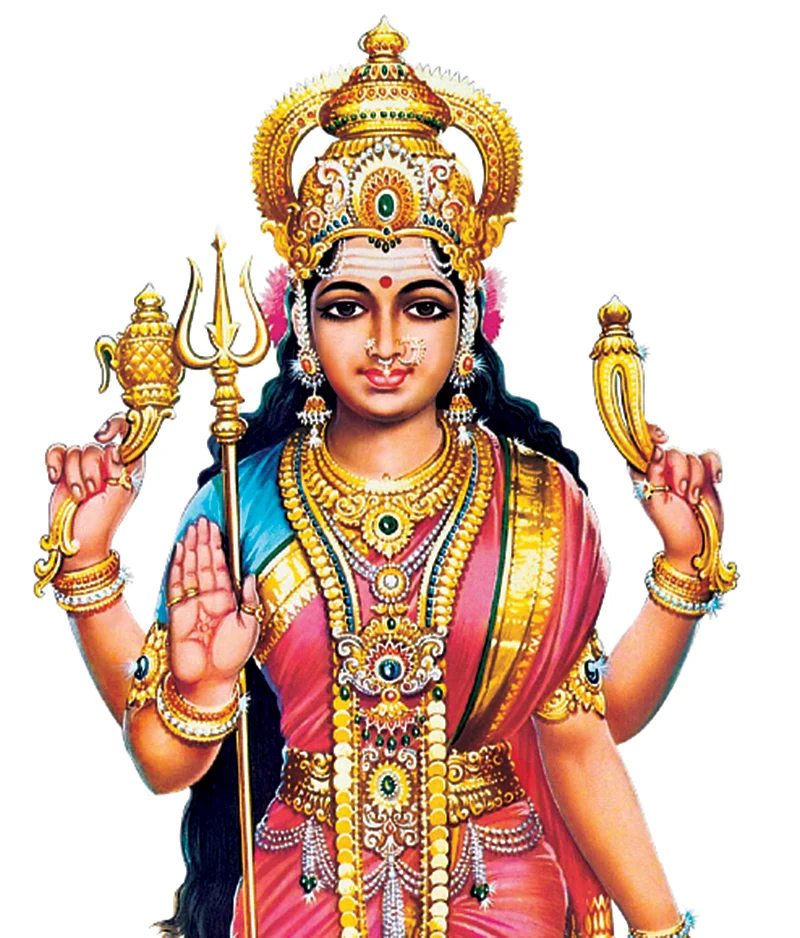 `ஹோமப் பிரசாத நாணயத்தை என்ன செய்யலாம்?'