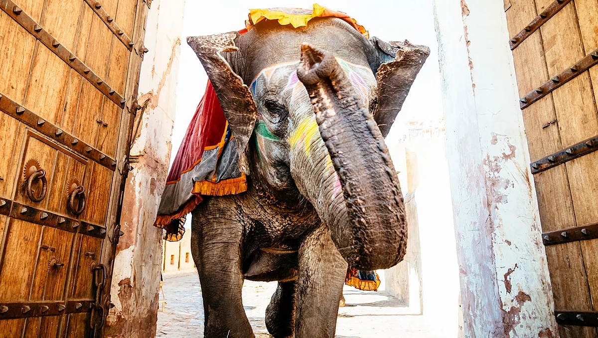 கவிதைகள்