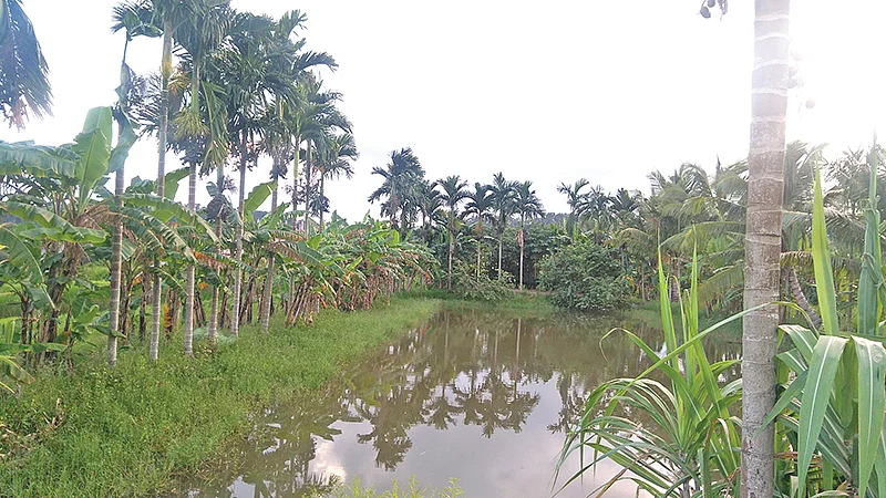 விவசாயம்
