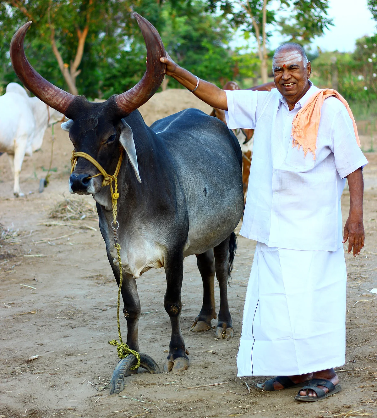 மருத்துவர் நடராஜன்