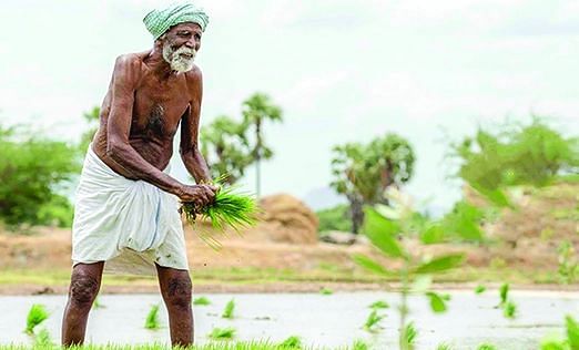 கடைசி விவசாயி - சினிமா விமர்சனம்