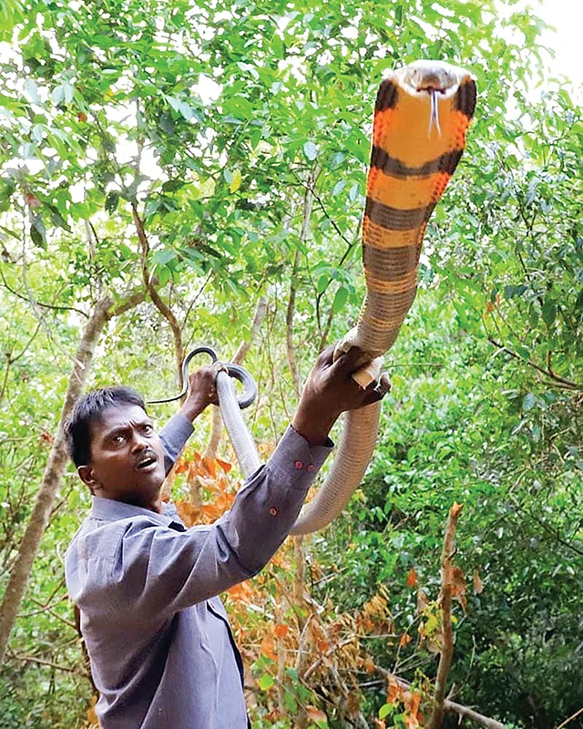 “என்னை 400 முறை பாம்பு கடித்திருக்கிறது!”