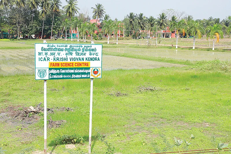 நீடாமங்கலம் வேளாண் அறிவியல் நிலைய வளாகம்