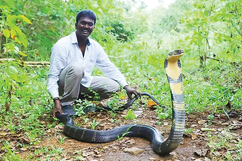 “என்னை 400 முறை பாம்பு கடித்திருக்கிறது!”